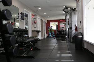 Personal Training Services in Citrus Park